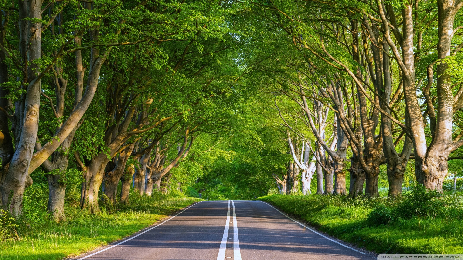 Featured movie banner