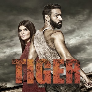 Tiger poster